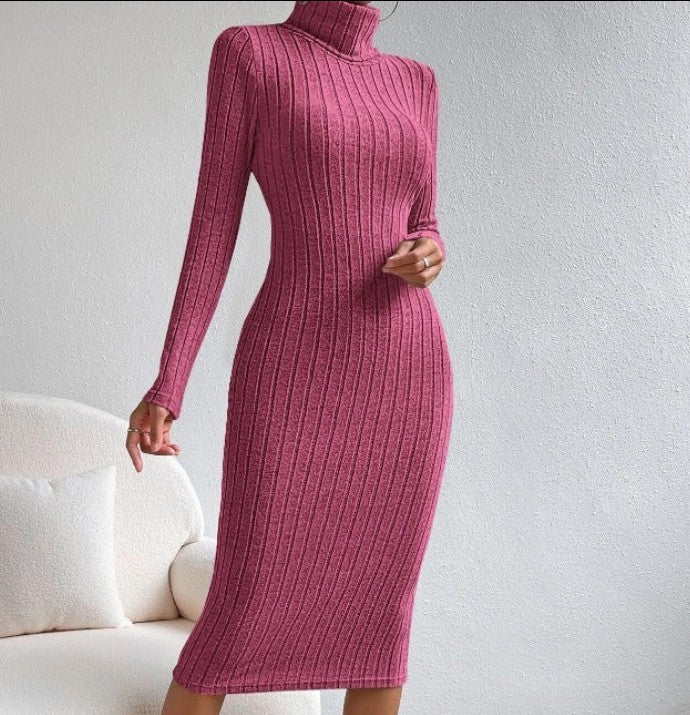 Sexy Skinny Spice Dress